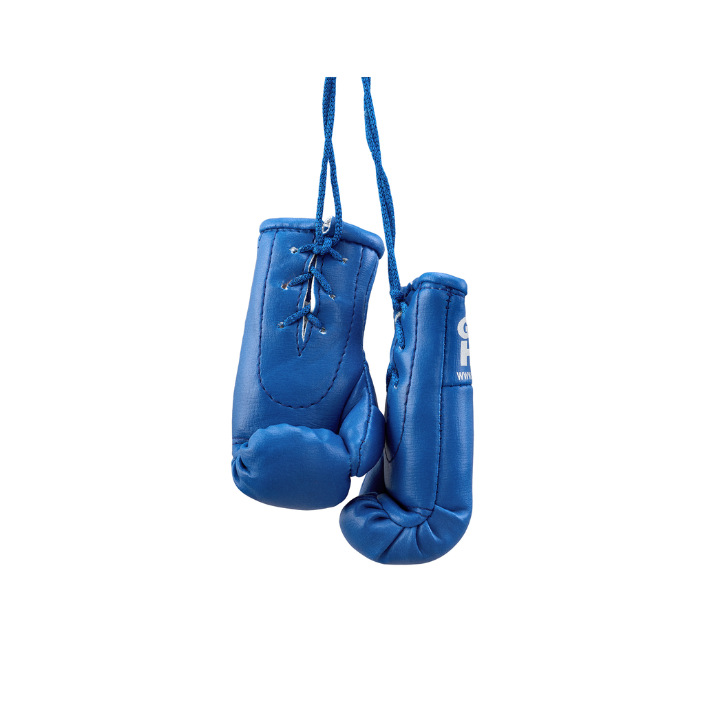Mini Boxhandschuhe