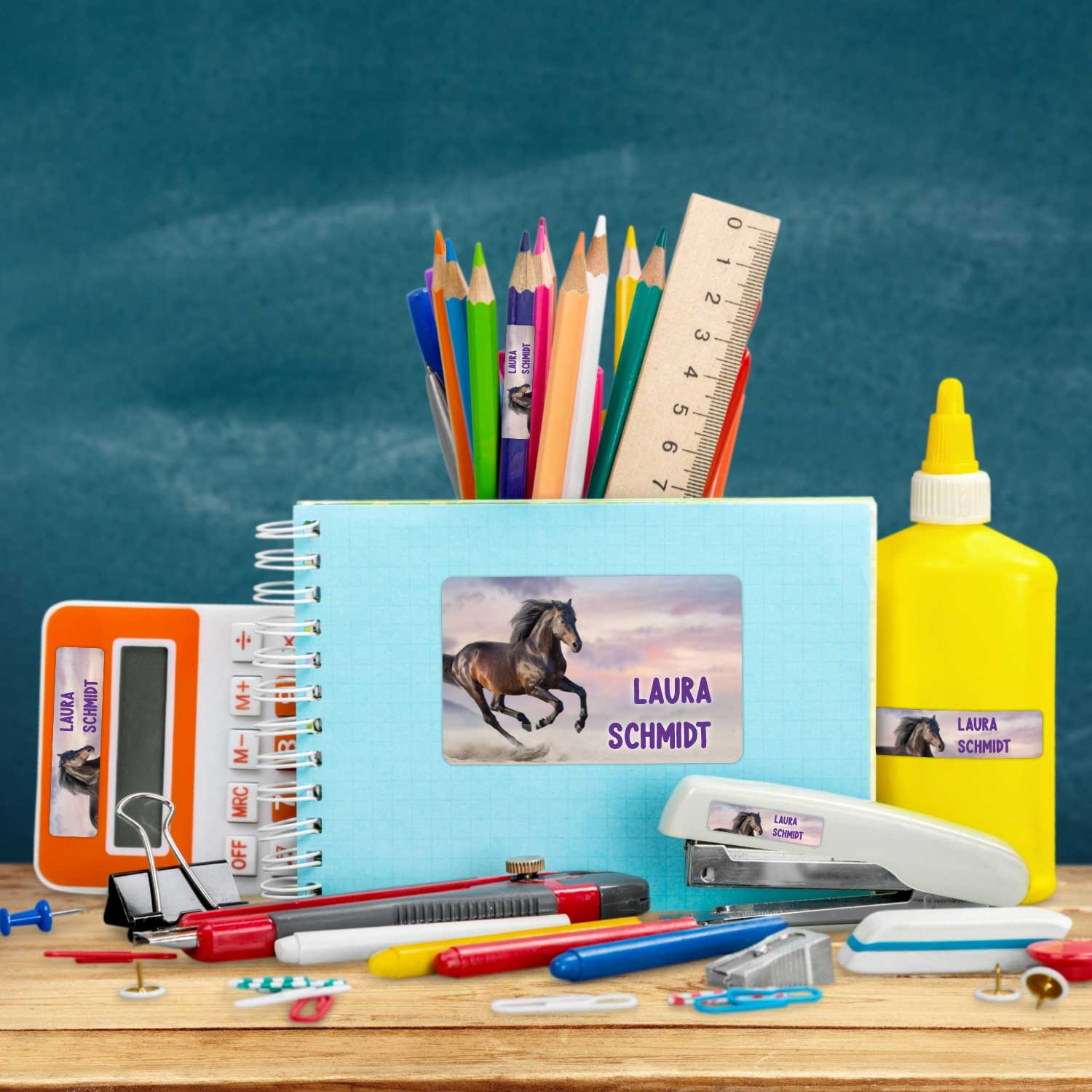 Schuletiketten mit Namen - Pferd Design - 100 Aufkleber in verschiedenen Größen