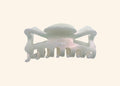 Ethical Cellulose Acetate Hair Clip – Mother of Pearl | For Conscious Style